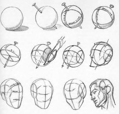 Plate from Drawing the Head and Hands showing how to construct a basic Loomis head.