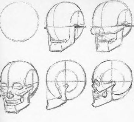 Plate from 'Drawing the Head and Hands' showing how to construct a skull: first the sphere of the cranium, then the jaw, then the cheekbones, and finally eye sockets.