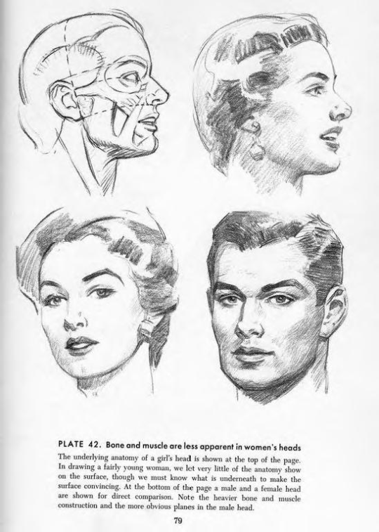 Four illustrations of heads from 'Drawing the Head and Hands'. The first shows the major muscles of a woman's face, the second the same face fully drawn with hair and shading, the third a different angle on a woman's face, and finally a male face for contrast.