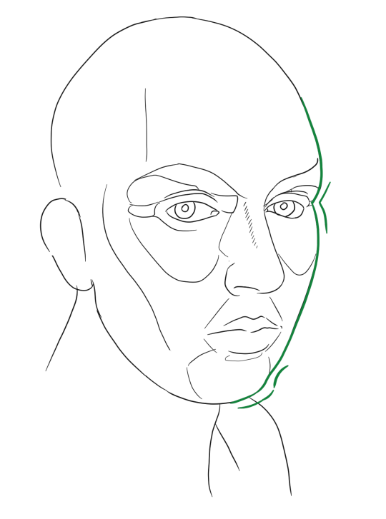 Trace of my face contour with hair removed and major shapes marked. The outer contour of the face is marked in green.