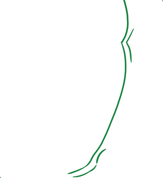 The same green contour line in a void.