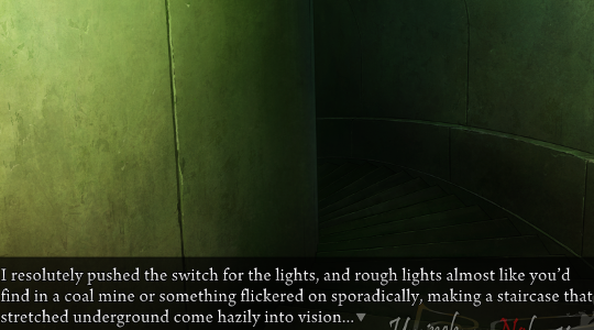 Narration from Eva: ‘I resolutely pushed the switch for the lights, and rough lights almost like you’d find in a coal mie or something flickered on sporadically, making a staircase that stretched underground come hazily into vision…’