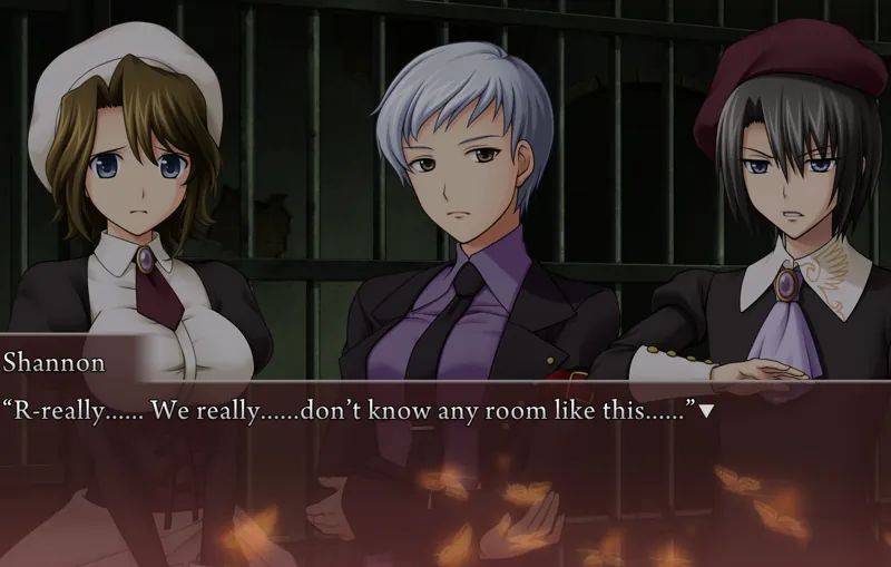 Sayo, Kyrie and Kanon in a dungeon-like room. Kyrie wears a sceptical expression. Sayo: R-really...... We really...... didn't know of any room like this.