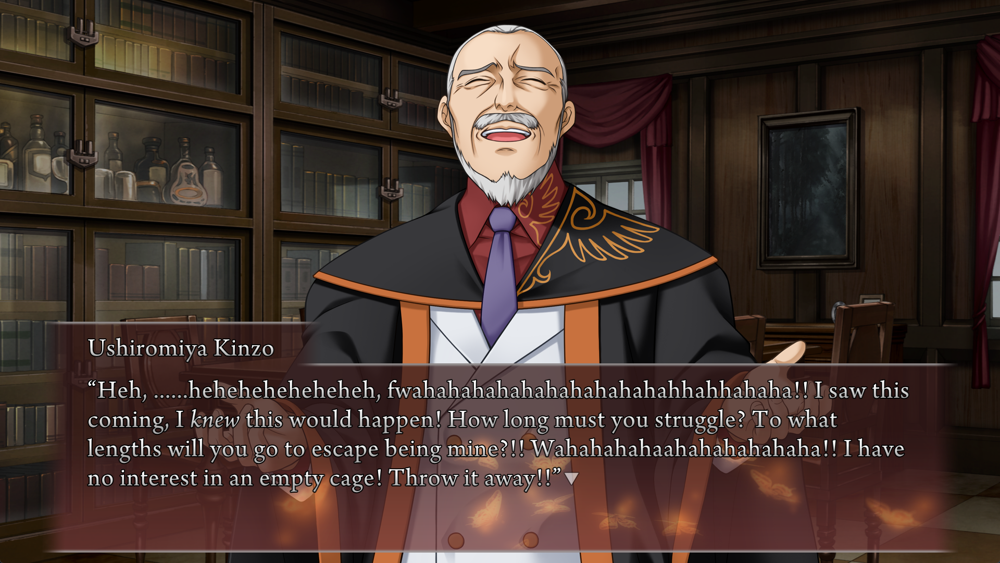 Kinzo: Heh, ......heheheheheheheh, fwahahahahahahahahahahahhahhahaha!! I saw this coming, I {i:knew} this would happen! How long must you struggle? To what lengths will you go to escape being mine?!! Wahahahahaahahahahahaha!! I have no interest in an empty cage! Throw it away!!